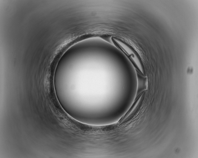 X0000099460675200805091529