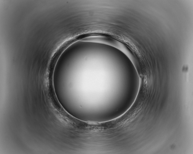 X0000099460676200805091529