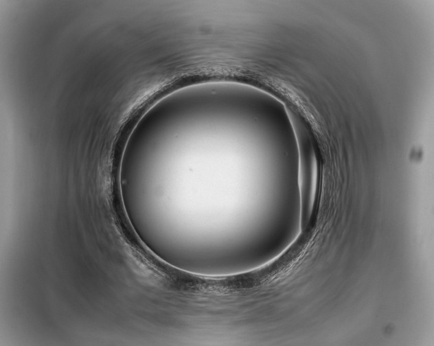 X0000099460677200805091529