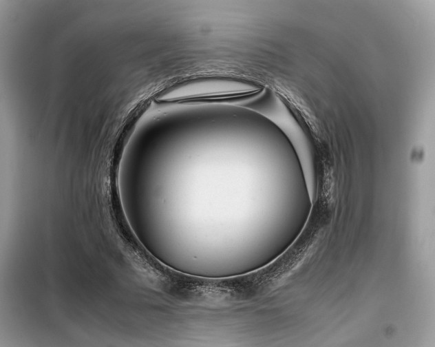 X0000099460681200805091529