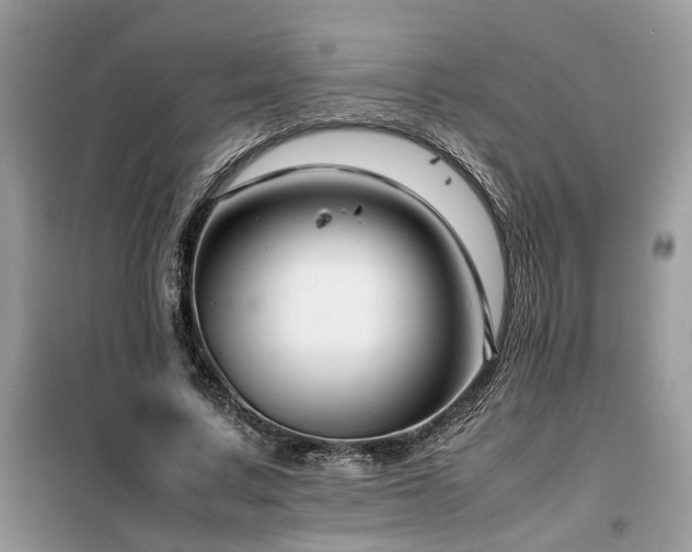X0000099460683200805091529