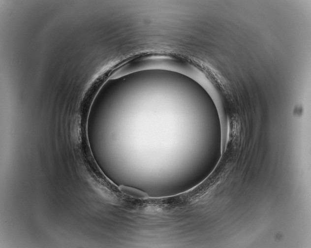 X0000099460684200805091529
