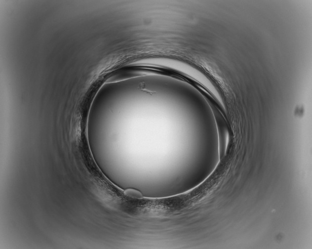 X0000099460685200805091529