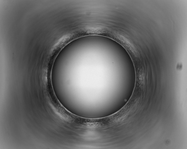 X0000099460686200805091529