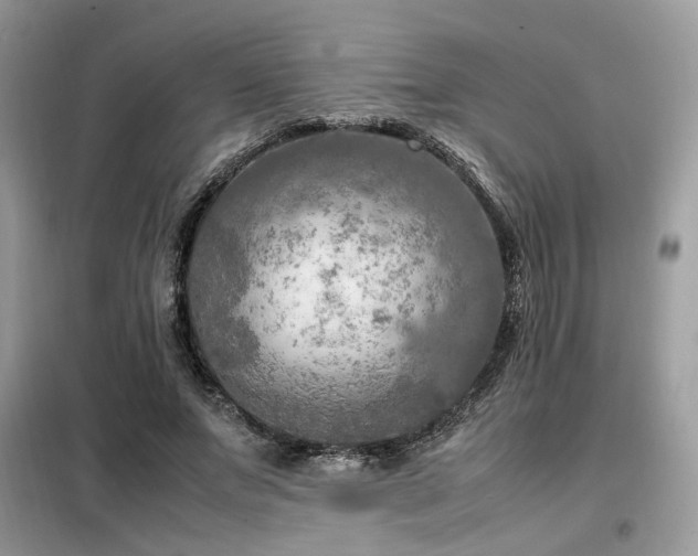 X0000099460687200805091529
