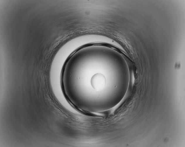 X0000099460689200805091529