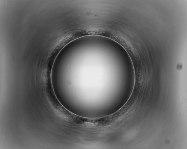 X0000099460690200805091529