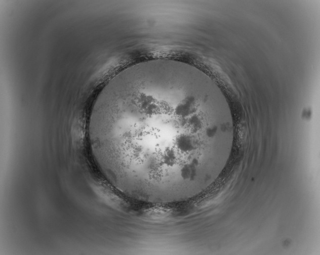 X0000099460691200805091529