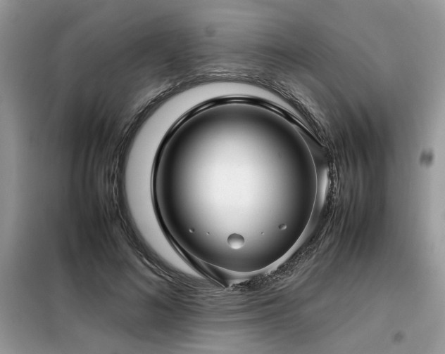 X0000099460692200805091529