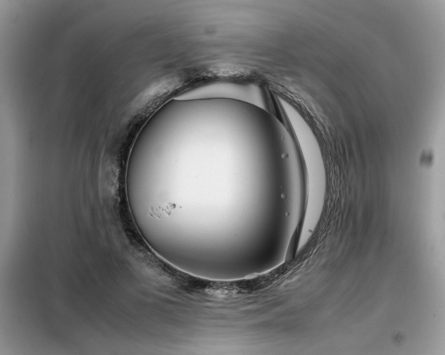 X0000099460693200805091529
