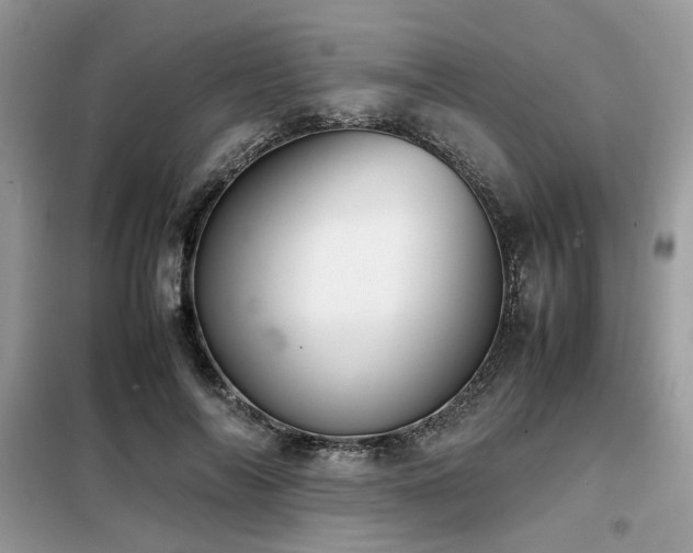 X0000099460694200805091529