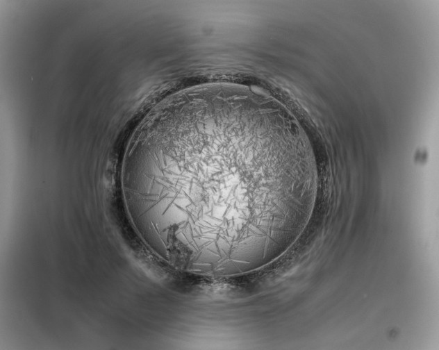 X0000099460695200805091529