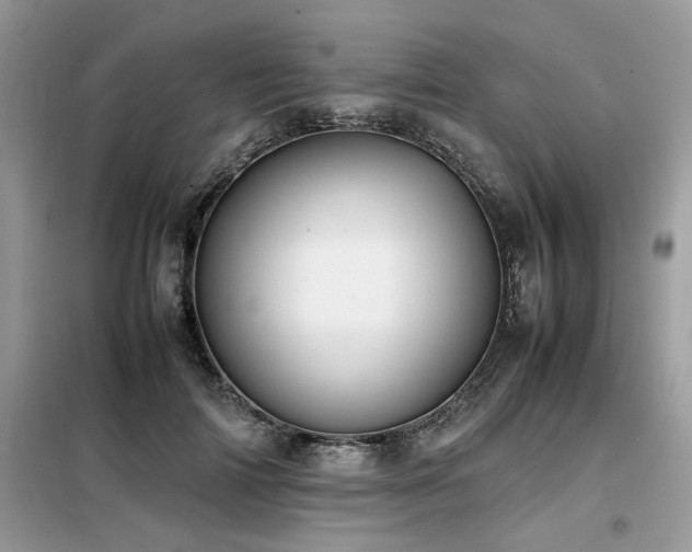 X0000099460698200805091529