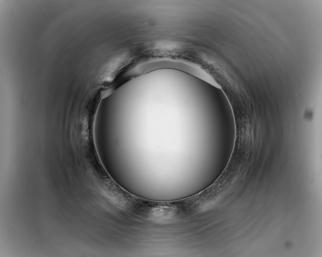 X0000099460700200805091529