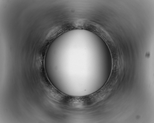 X0000099460702200805091529
