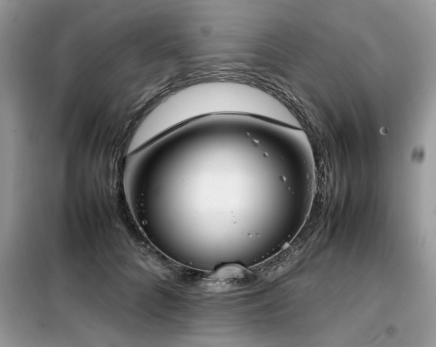 X0000099460704200805091529