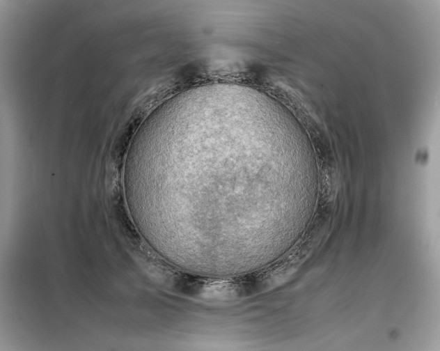 X0000099460705200805091529