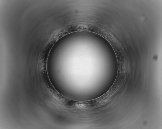 X0000099460706200805091529