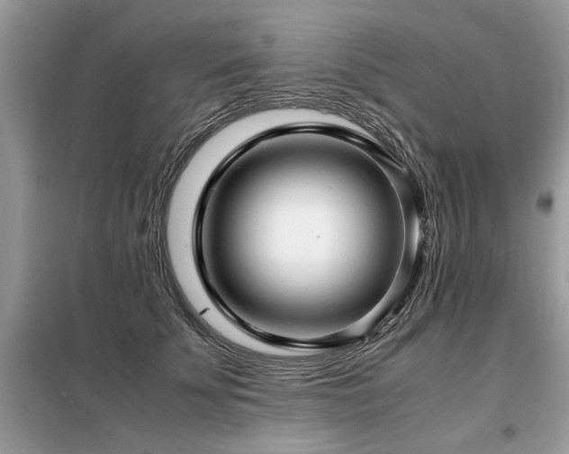 X0000099460707200805091529