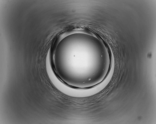 X0000099460709200805091529
