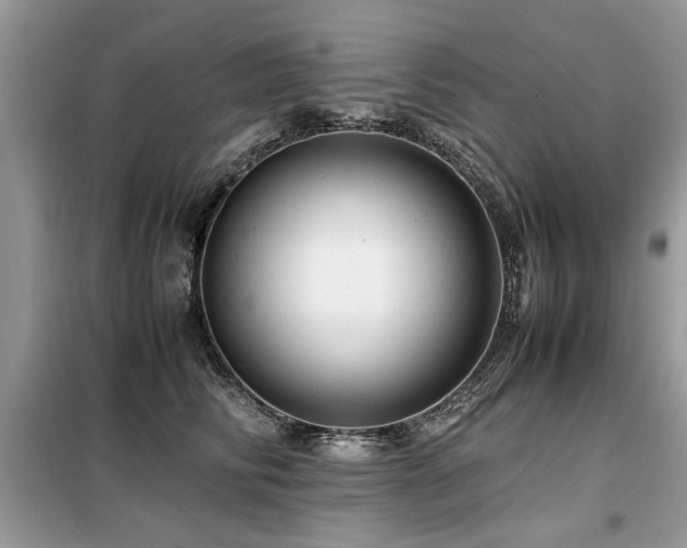 X0000099460710200805091529