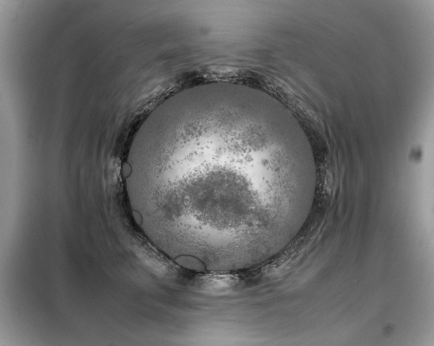 X0000099460711200805091529