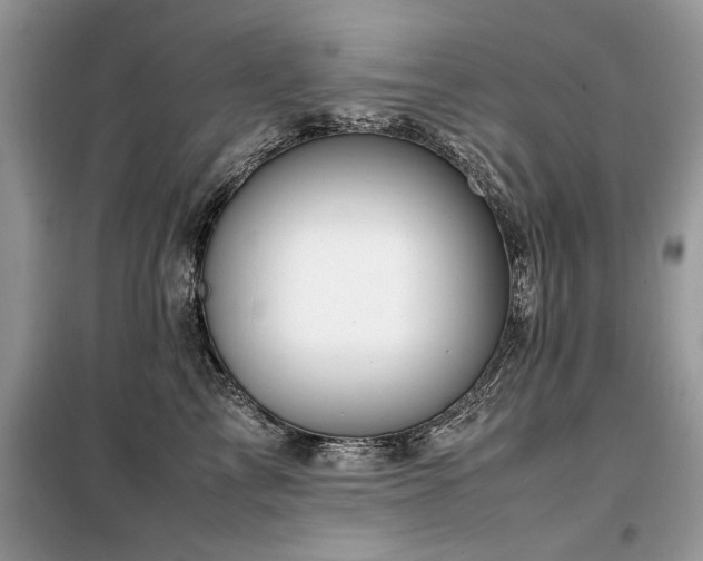 X0000099460713200805091529