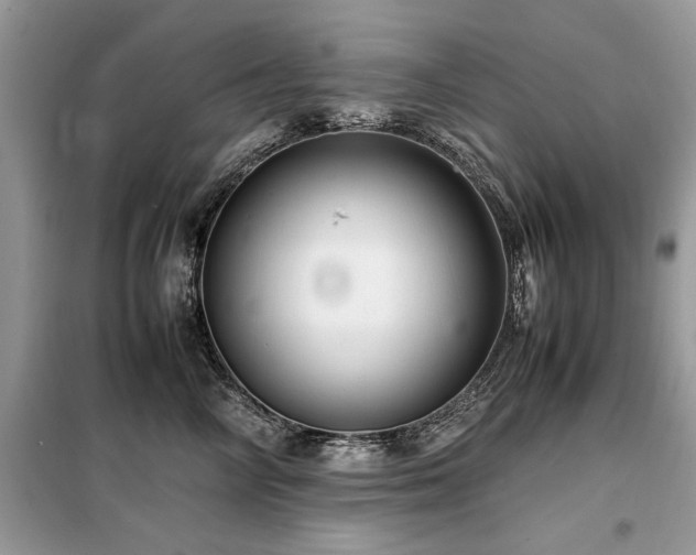X0000099460714200805091528