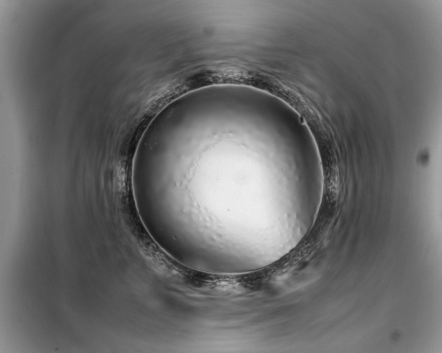 X0000099460715200805091528