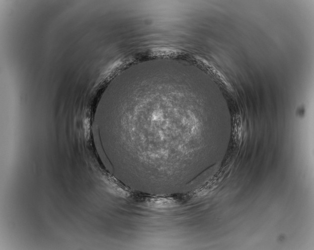 X0000099460716200805091528