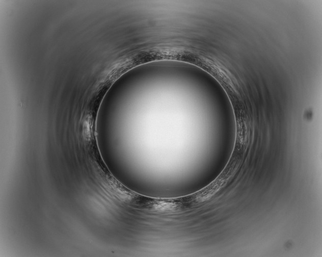X0000099460718200805091528