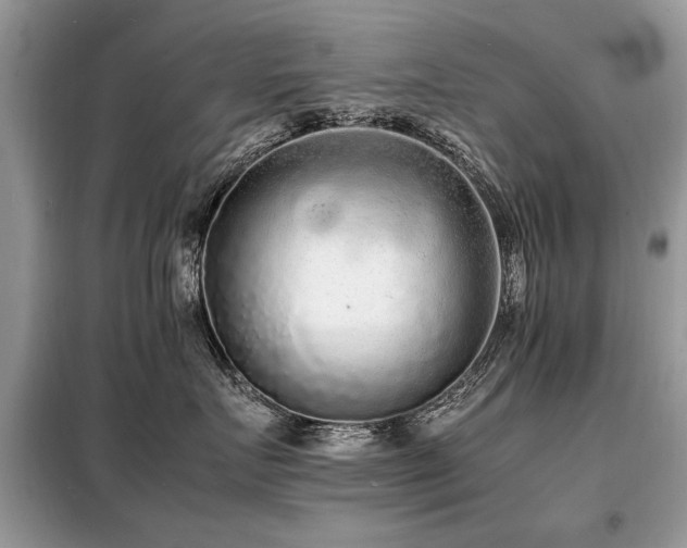 X0000099460719200805091528
