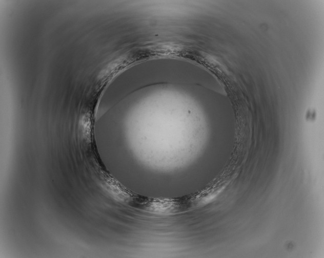 X0000099460720200805091528