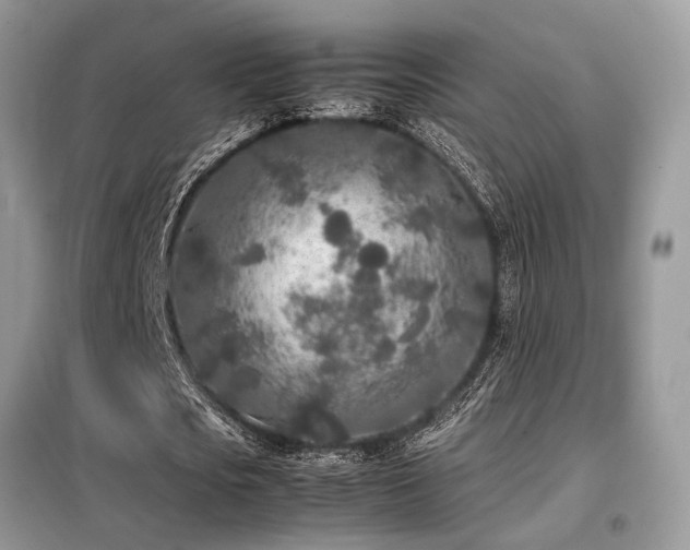 X0000099460721200805091528