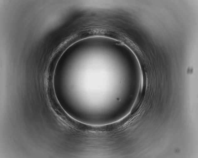 X0000099460722200805091528