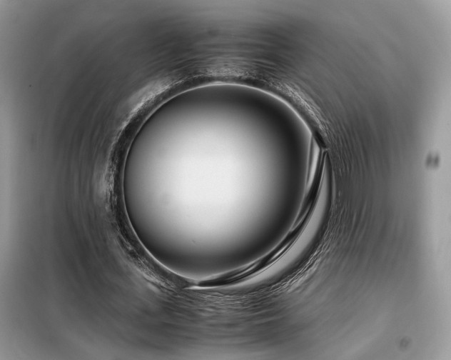 X0000099460723200805091528