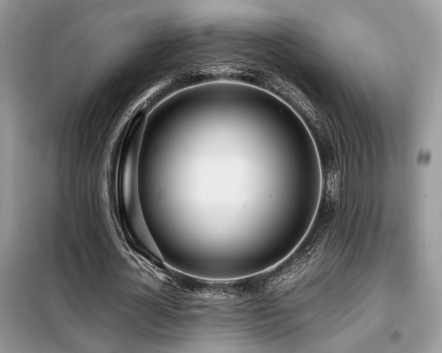 X0000099460724200805091528