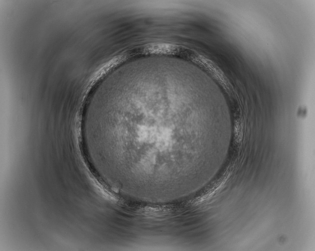 X0000099460725200805091528