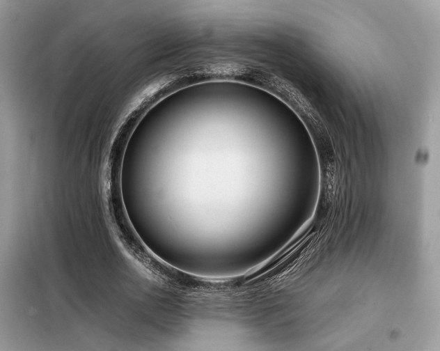 X0000099460726200805091528