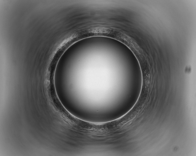 X0000099460727200805091528
