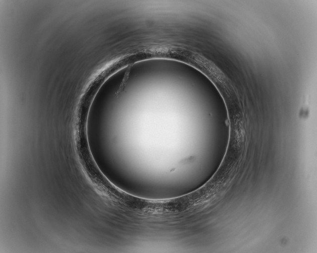 X0000099460728200805091528