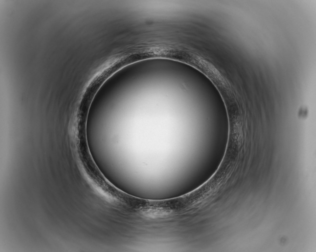 X0000099460730200805091528