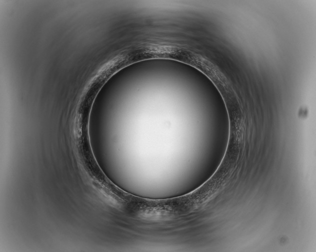 X0000099460731200805091528
