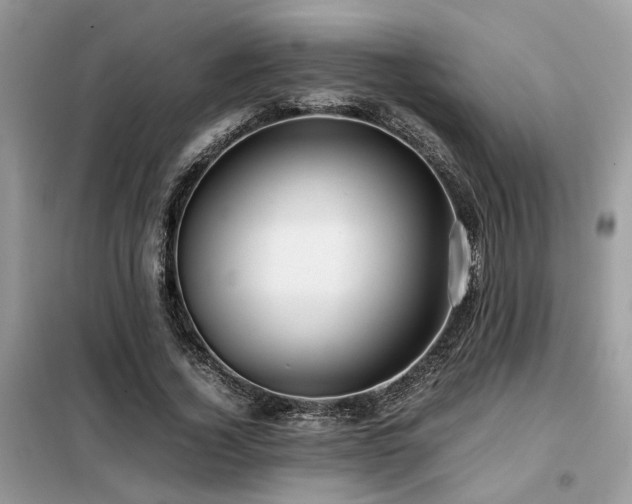X0000099460732200805091528