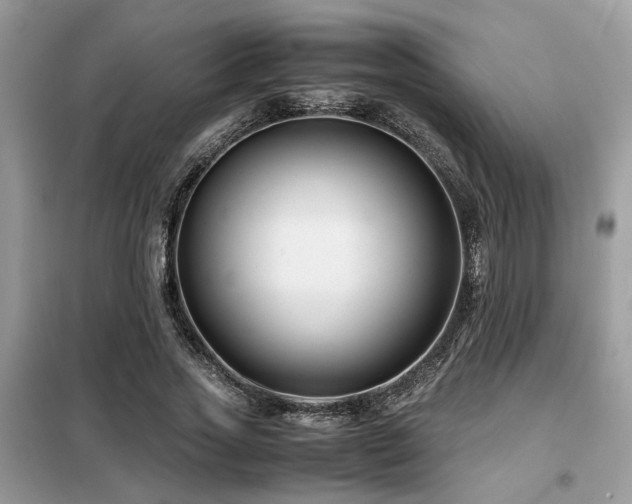 X0000099460733200805091528