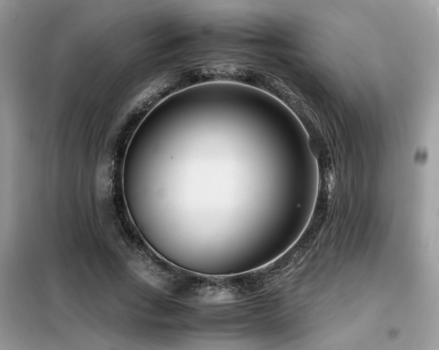 X0000099460735200805091528