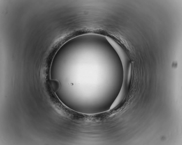 X0000099460736200805091528
