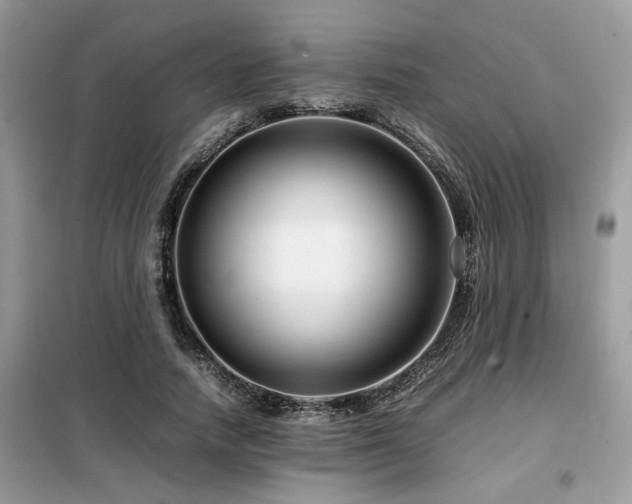 X0000099460738200805091528