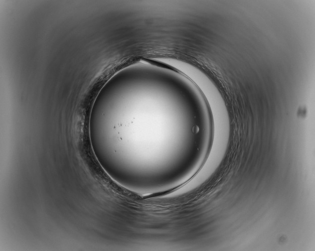 X0000099460739200805091528