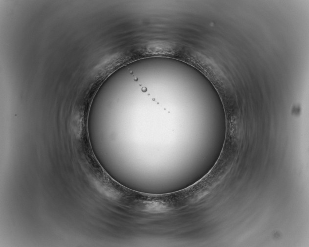 X0000099460741200805091528